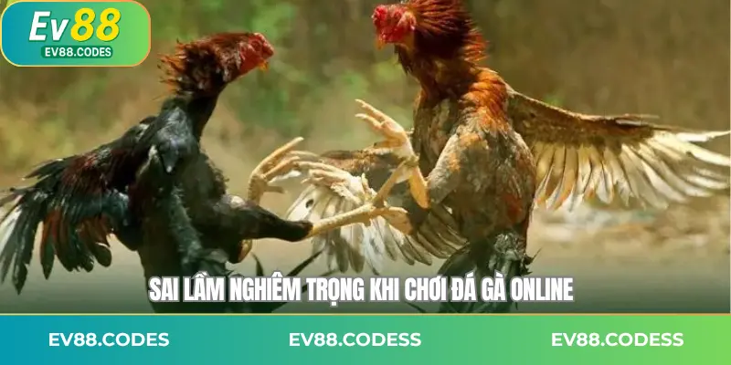 Sai lầm nghiêm trọng khi chơi đá gà online