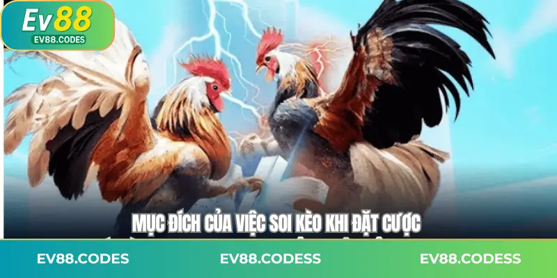 Mục đích của việc soi kèo khi đặt cược