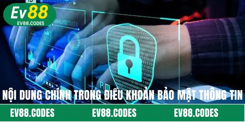 Nội dung chính trong điều khoản bảo mật thông tin